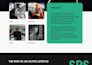 create a fully designed and developed website on tilda